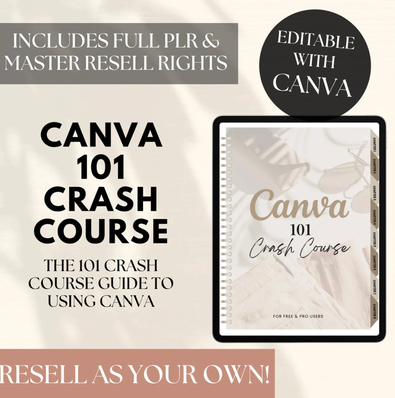 Canva Crash Course 101 Guide with MRR