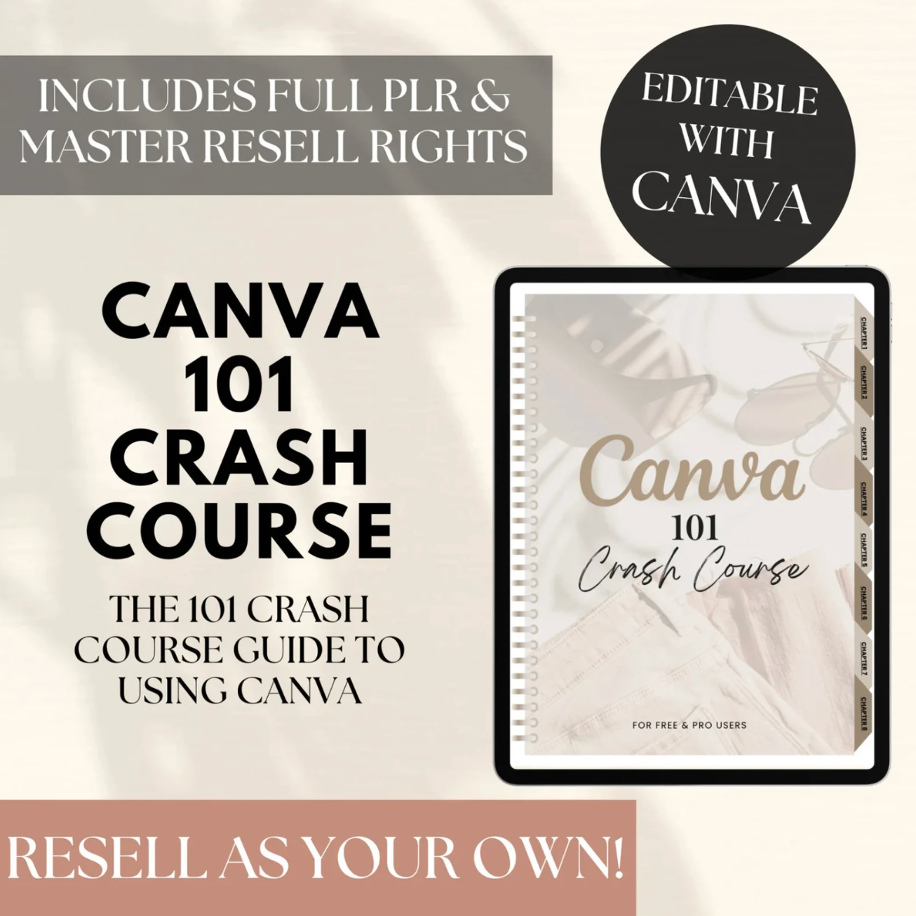 Canva Crash Course 101 Guide with MRR